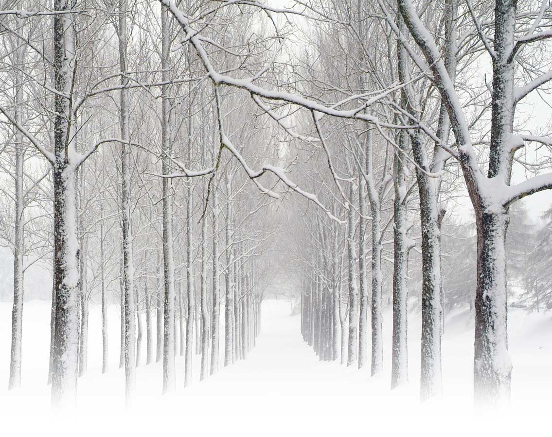 Heating and Air conditioning Snellville